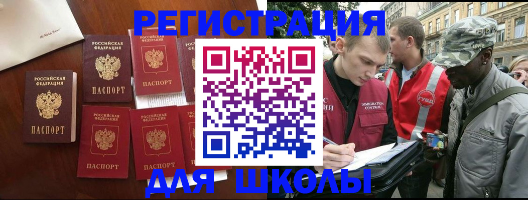 где прописаться в Светлогорске